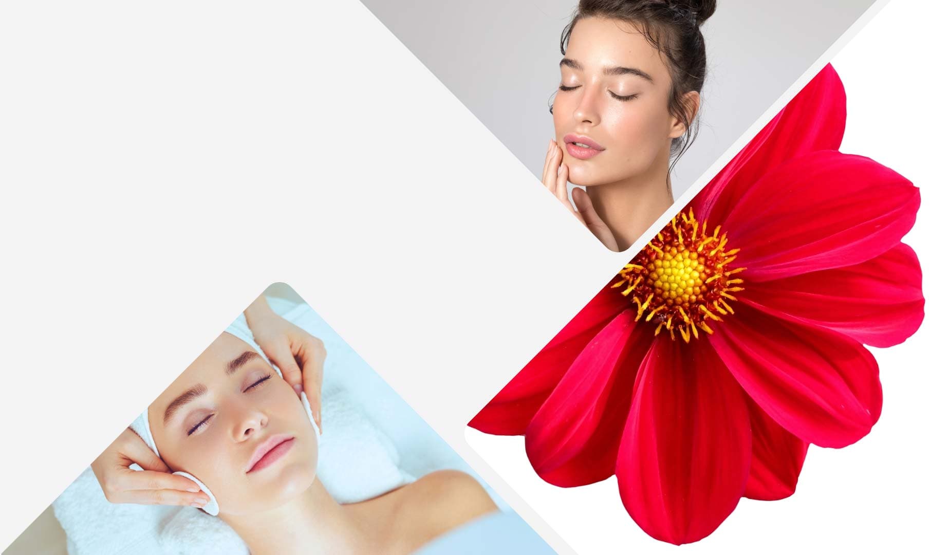 Dra Gilma E. Garrido Medicina bioreguladora