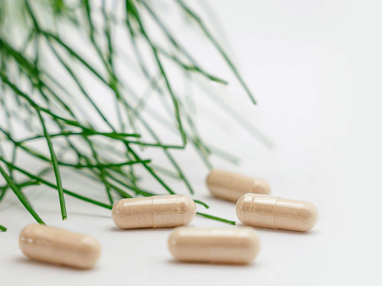 Medicina biorreguladora